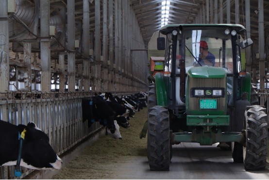 undefined 18271725503056.png