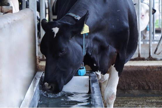 undefined 81891725503056.png