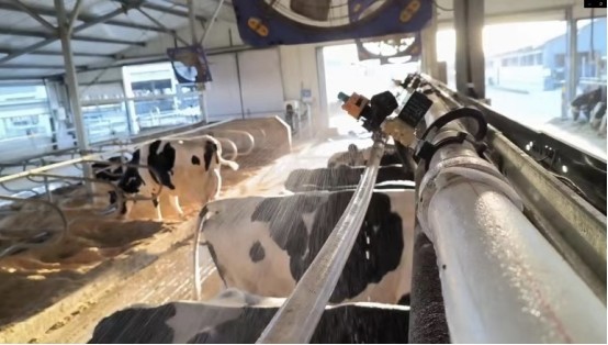 undefined 89361725503055.png