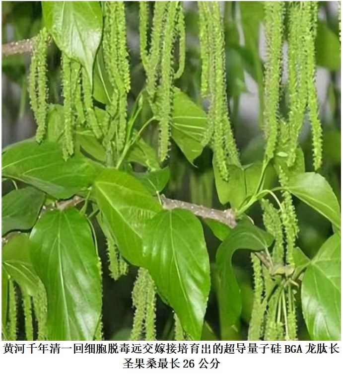 9cfa8c1bb48f1996d8b2e7cdac2777a5_202412310849431380645724.png