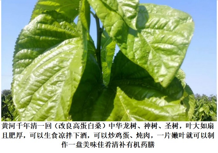 625104e3d2d8a83cd4736fff0fa1c575_202412310849442121991267.png